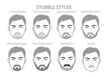 set of stubble beard and mustache with name text vector image