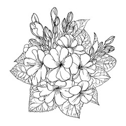 February Birth Flower Vector Images (46)