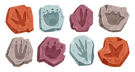 dinosaur archaeology fossil footprint dino paw set Vector Image