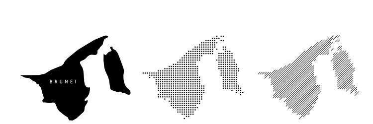 brunei silhouette map and two patterns of dots vector image