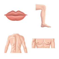 isolated object of human and part symbol set vector image