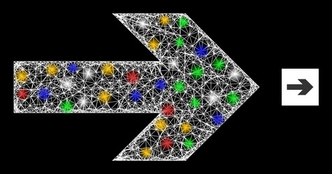 net mesh right arrow icon with multicolored vector image