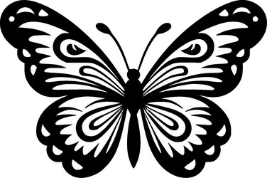 Butterfly High
