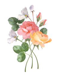 Bouquet roses vector