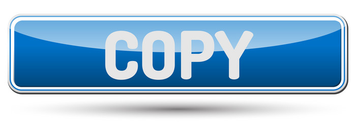 copy - abstract beautiful button with text vector image