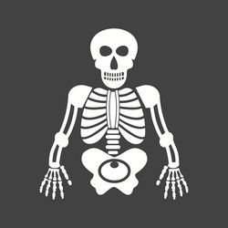 Human skeleton Royalty Free Vector Image - VectorStock