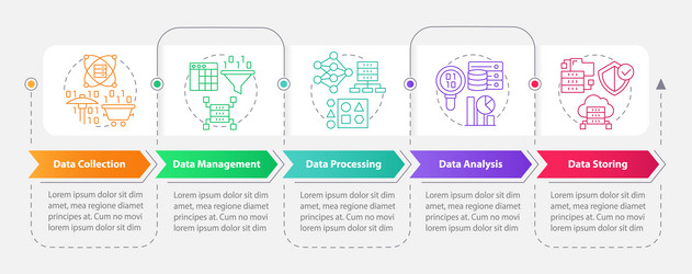 Data Processing Workflow Stages vector image