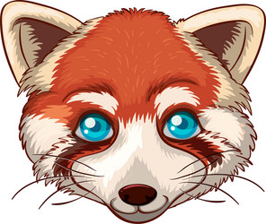 red panda vector