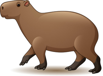 capybara vector sketch 8917850 Vector Art at Vecteezy