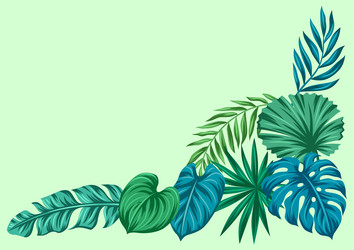 background with palm leaves decorative image Vector Image