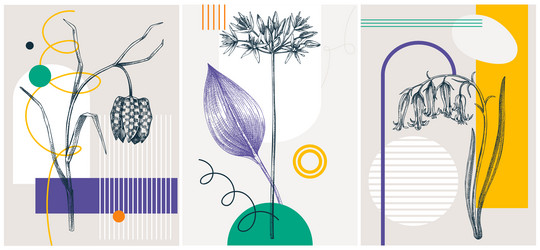 Collage-style spring flower hand-sketched f Vector Image