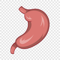 Stomach icon cartoon style vector