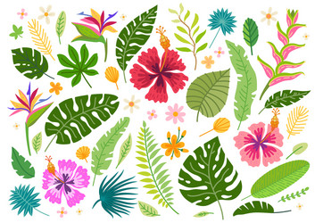 set cartoon rainforest floral elements vector