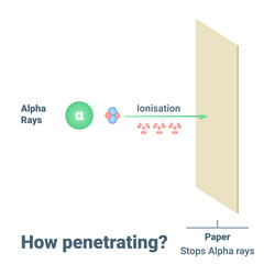 an indepth understanding of alpha rays vector image