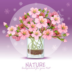 background with cherry blossom in a glass vector