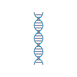 dna molecular structure sign or symbol flat vector