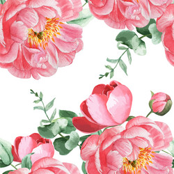 peony flowers watercolor pattern seamless floral vector