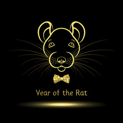 rat symbol year vector image
