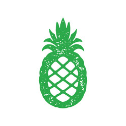 Decorative tropical pineapple with ornament peel vector