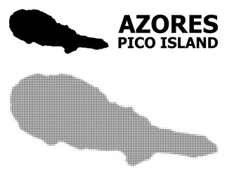 halftone pattern and solid map pico vector image