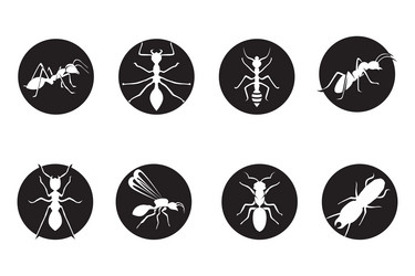 Ant Vector Images (over 12,000)