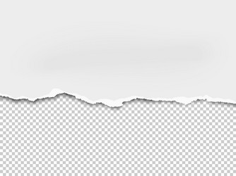 torn a half sheet of white paper from the bottom vector image