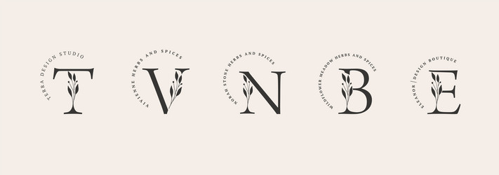 collection of botanical minimalistic initial vector image