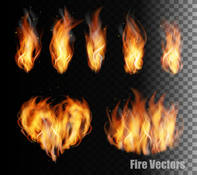 Realistic Fire Flames Transparent Set Royalty Free Vector