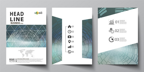 Business templates for brochure flyer booklet vector