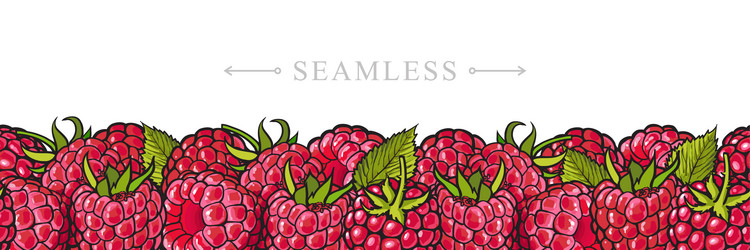 Fresh Raspberry Border Pattern vector image