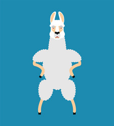 Cool Strong Alpaca Smoking Vector Image