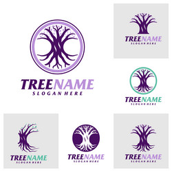 Set of tree with root logo design template vector