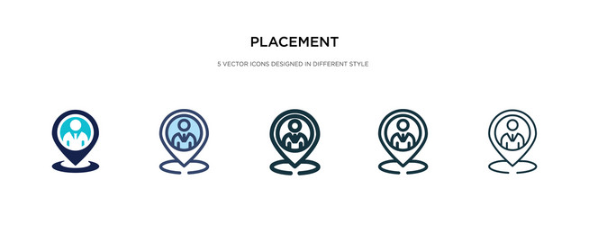 Placement icon in different style two colored vector