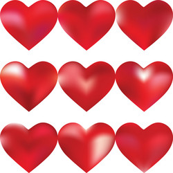 mesh background in form a shape vector image