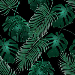 Tropical Palm & Monstera Leaves Vector Image