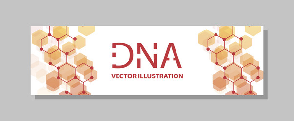 molecular structure with connected lines and dots vector