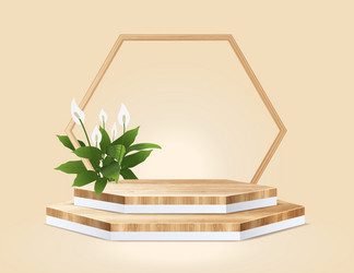 abstract minimal scene with geometric hexagon vector image
