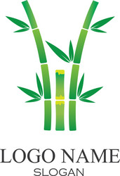 Bamboo with green leaf icon vector