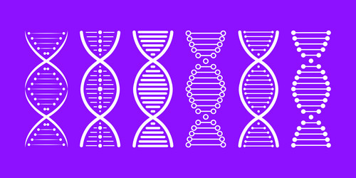 Dna structure icon set molecule vector