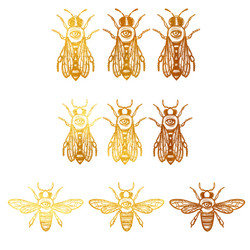 Set with bees eye occult vector