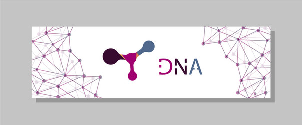 molecular structure with connected lines and dots vector image