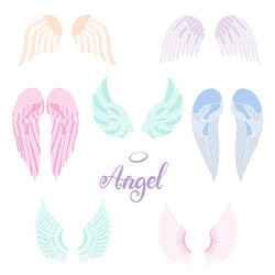 angel wings icon with hand lettering word Vector Image