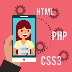 program coding website vector image