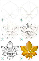 page shows how to learn step by draw vector image