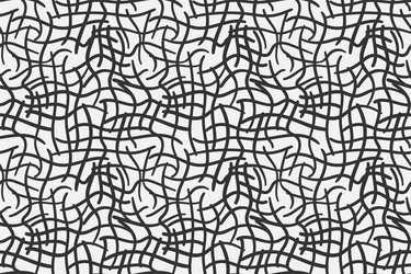 abstract pattern net texture black and white mesh vector image