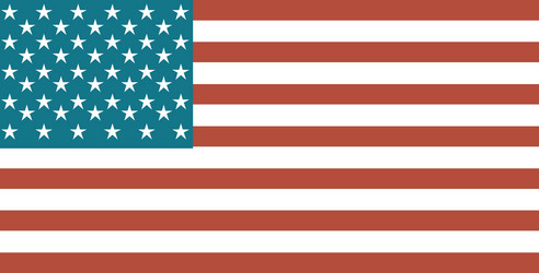 flag united states of america Vector Image