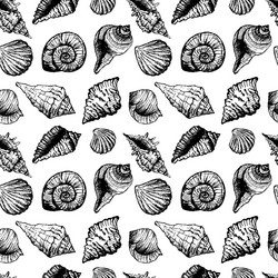 hand drawn seamless pattern with various seashells vector image