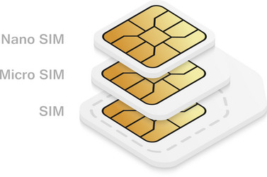 Different mobile sim card size standard micro vector