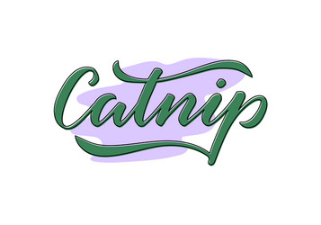 Catnip isolated green word on a violet background vector