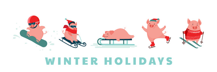 Funny cartoon pigs winter sport activities vector